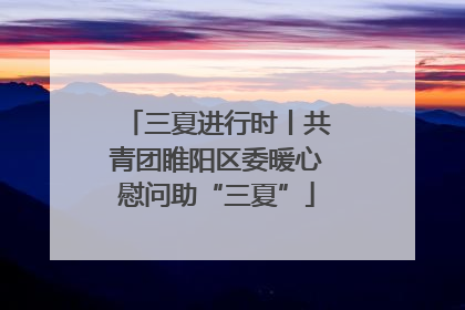 三夏进行时丨共青团睢阳区委暖心慰问助“三夏”